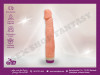Vibrator