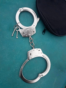 POLICISKE LISICE