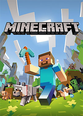 Minecraft / Java Edition / PC