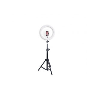 Ring light BRAUN VloggKit 100