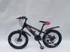 BICIKLO MTB Y231-20
