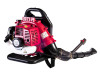 RAIDER motorni puhač za lišće RD-GB06 1.25kW