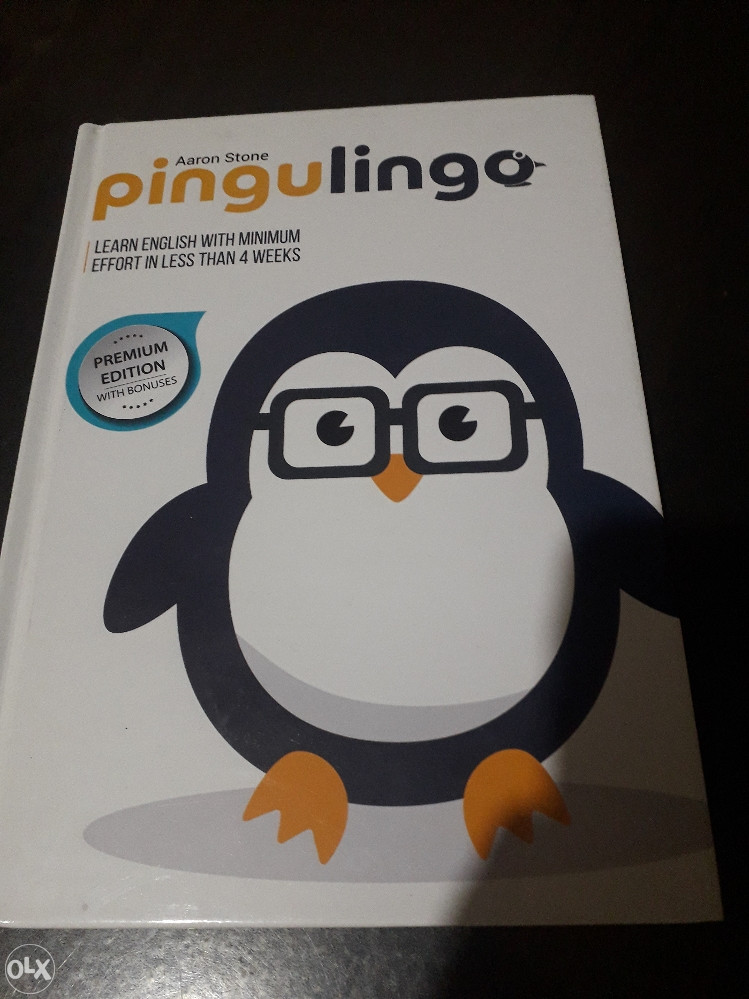Pingulingo - Aaron Stone