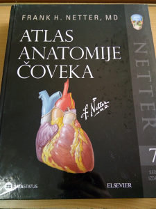 Atlas anatomije coveka - Netter