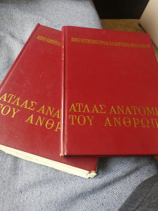 Anatomija anatomski atlas, neuroanatomija