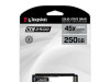 Kingston SSD disk 250GB KC2500