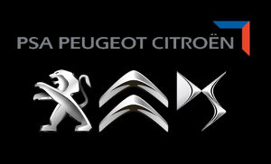Peugeot Citroen Elektronik Servis popravak Elektronike