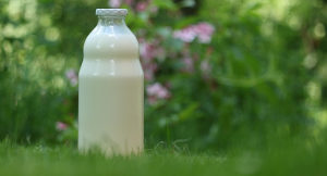 Kozije (kozje) mlijeko