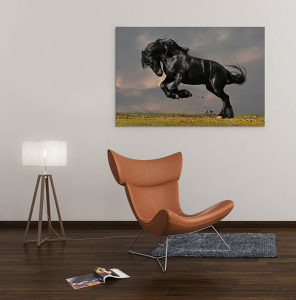 Canvas slika - Crni Frizijski konj