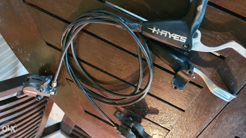 hayes g1