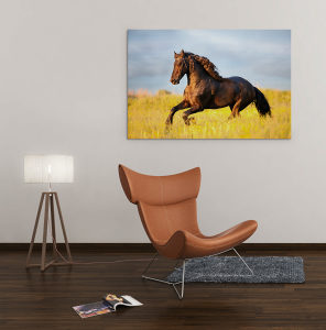 Canvas slika - Frizijski konj u galopu