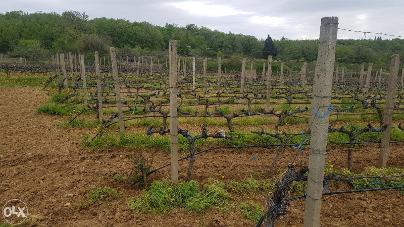 Traktorska pomična freza za vinograde (Yanmar, Kubota)