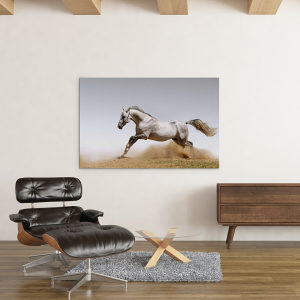 Canvas slika - Bijeli konj u galopu