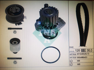 Golf V 1.9 77kw Set zupčastog   vodena pumpa Metelli