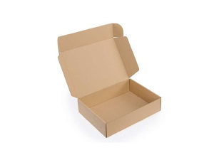 Kartonska kutija 25x17x8