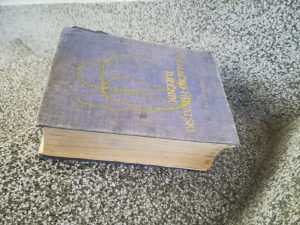 Njemacko-hrvatski rjecnik 1291 stranica