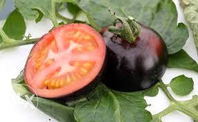 Sadnice paradajza Krimi crni jabučar