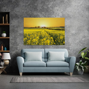 Canvas slika - Izlazak sunca, Polje, Žuta boja