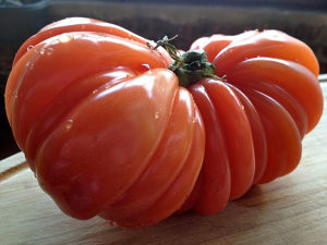 Sjemena sjeme paradajz Italijanski Cuore Di Bue