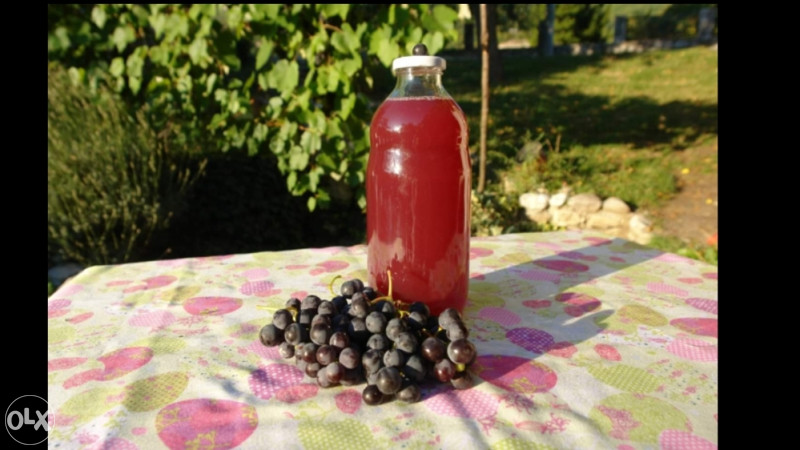 Prirodni domaci sokovi
