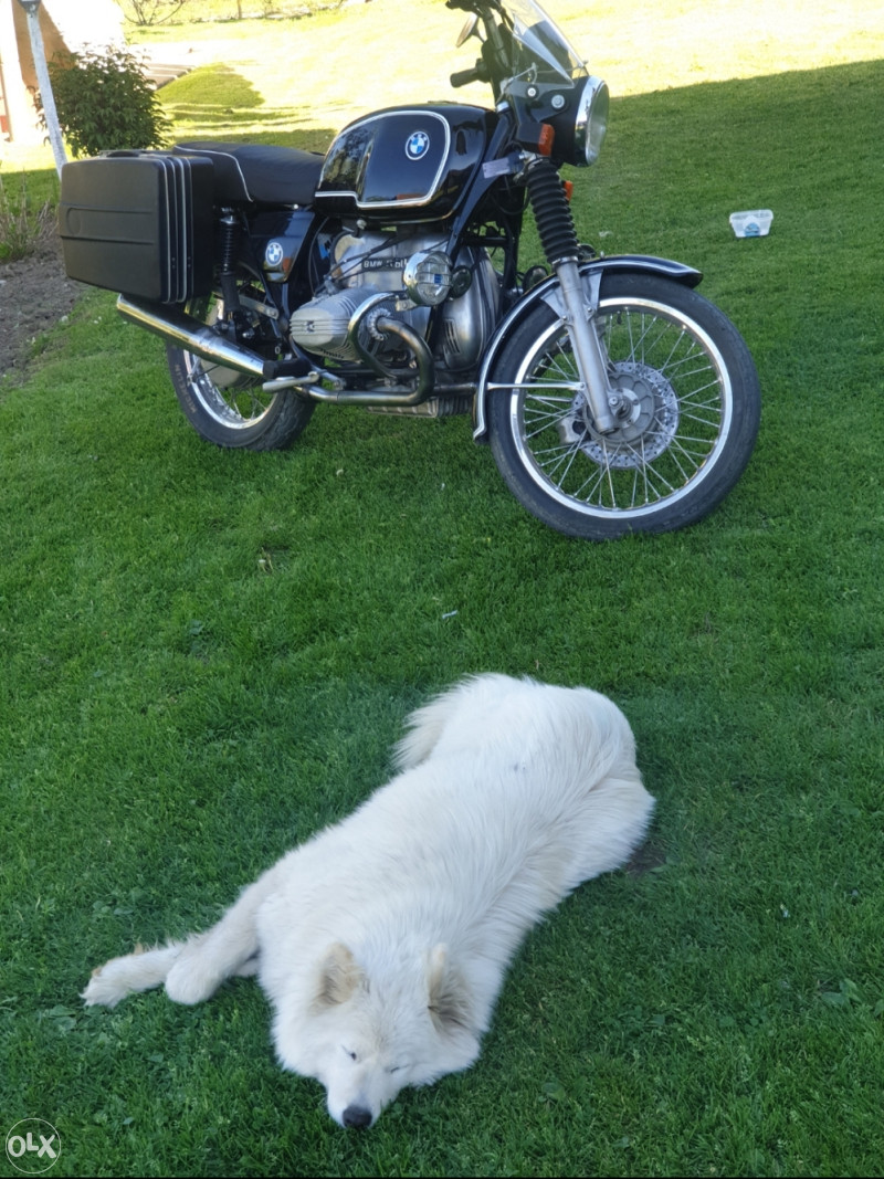MOTOCIKL BMW R60/7