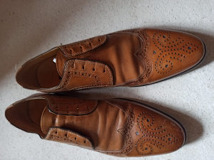 Muška cipele Lloyd br.43