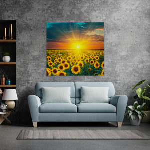 Canvas slika - Polje suncokreta, zalazak sunca, Cvijet