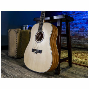 Peavey Delta Woods DW-1 akustična gitara sa torbom