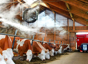 Ventilacija za farme rashlada oprema ventilator