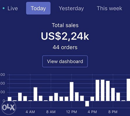 Ecommerce/Dropshipping Kurs