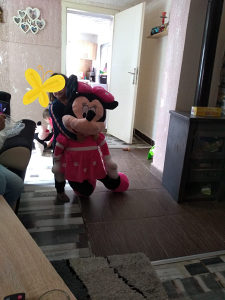 Miki mause maus plisanac