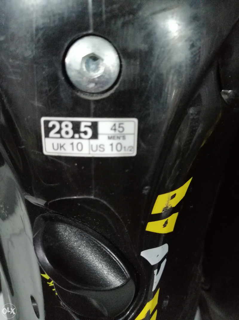 Pancerice extra očuvane 45br