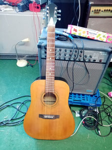 Akusticna gitara 12erac-6