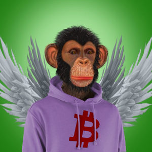 NFT BORED APE YATCH RAP CLUB #0500