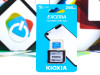 Micro SD card Exceria 256GB klasa 10 100MB/s