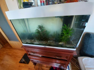 Akvarium za ribice