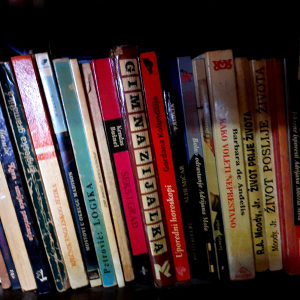 Strucne knjige iz psihologije I pedagogije
