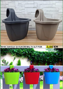 Saksija sa kukom