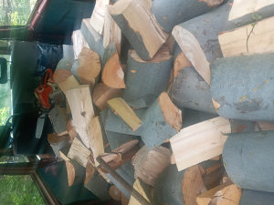 bukova drva cokovi