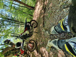 Honda cr 250