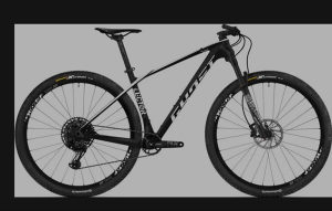 Ghost Lector 3.9 carbon, 29zoll