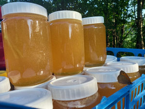 Med ( Med i prodaja rojeva pcela )