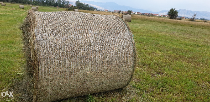 Rolo bale