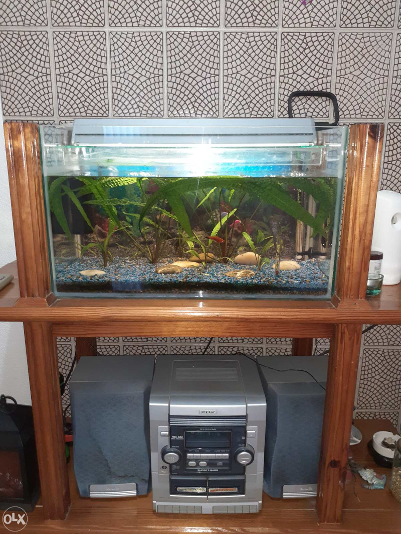 Akvarijum sa ribicama Akvarijumi OLX.ba