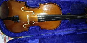 Violina 4/4 Stentor Student 2