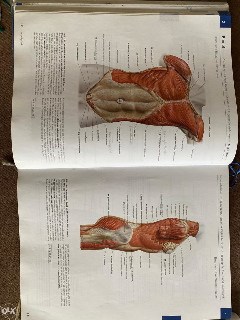 Sobotta Anatomski Atlas Fakultet OLX Ba