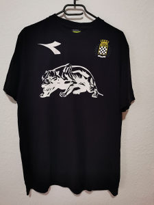Majica kratkih rukava Boavista dres