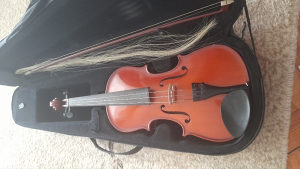 Violina