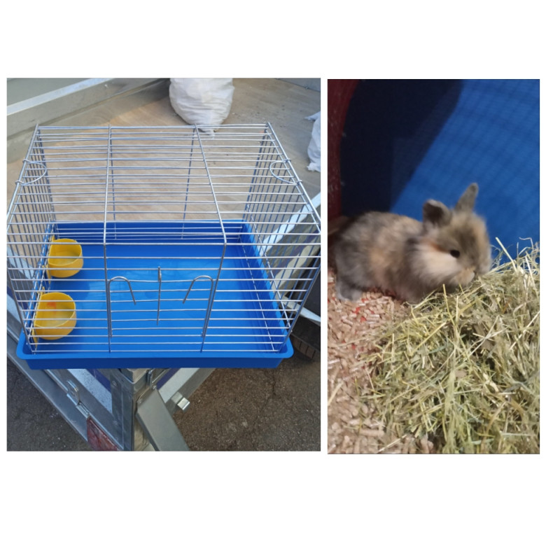 Zeko+kavez zeko sa kavezom kunic zec zeka - Kunići - OLX.ba