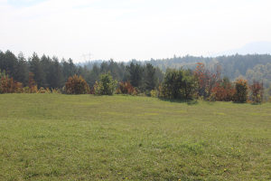 ZEMLJIŠTE U ILIJAŠU (POPOVIĆI) 5000m2